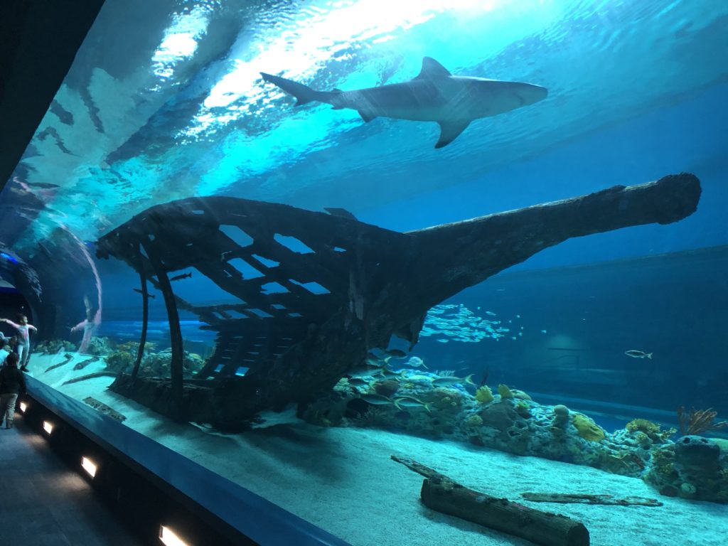 Texas State Aquarium | Day Trips from Port Aransas | www.portaransastex.com