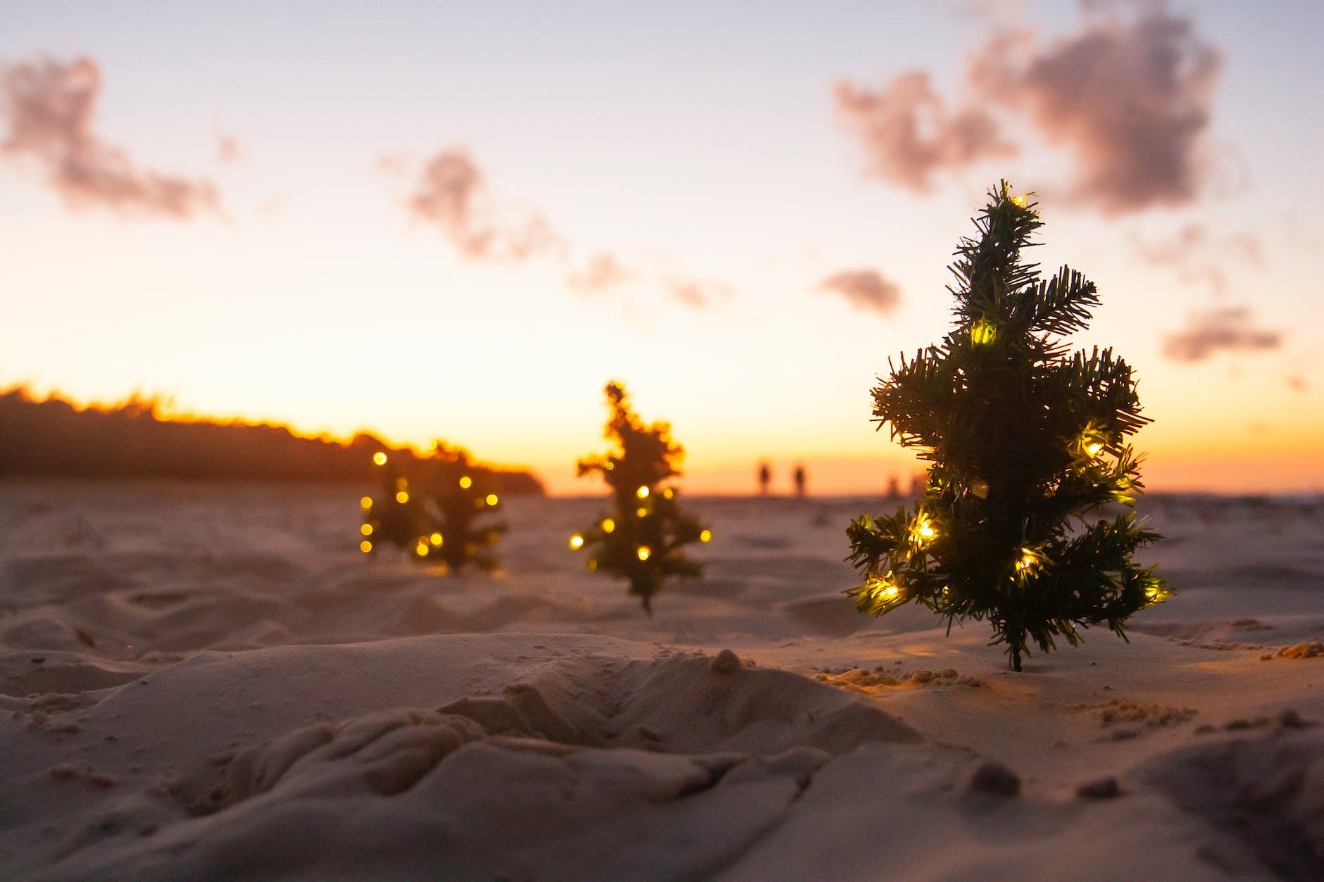 little christmas tree with lights on a beach