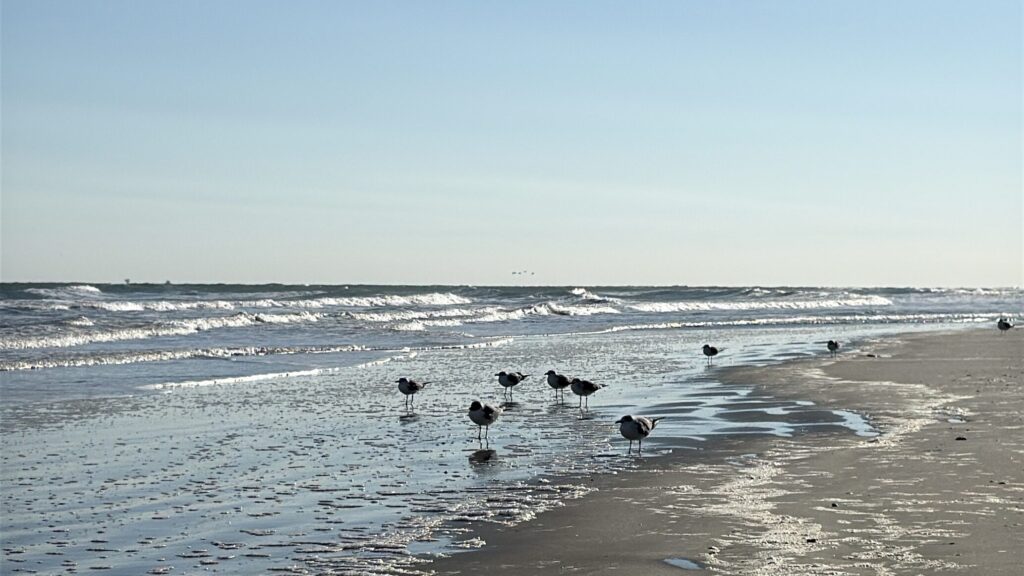 Beach in Port Aransas