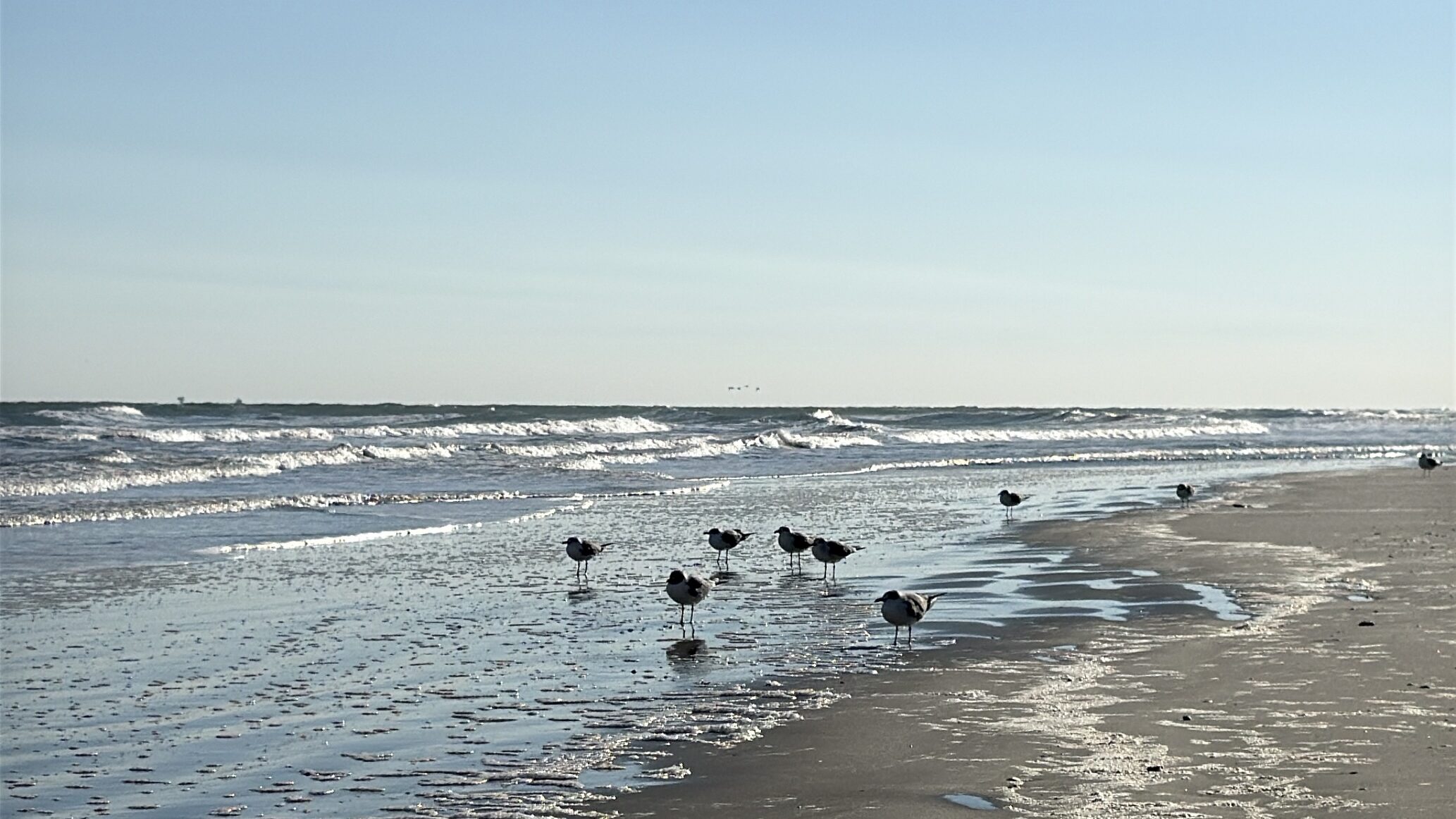 Beach in Port Aransas
