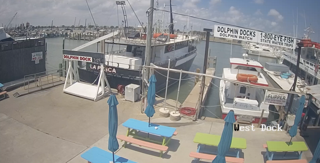 Dolphin Docks live webcam | Port Aransas Explorer
