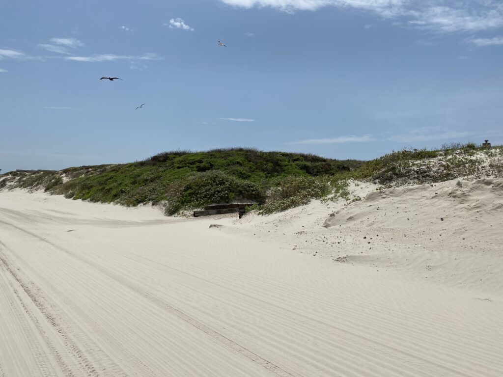 driving on the beach sand | Port Aransas Explorer