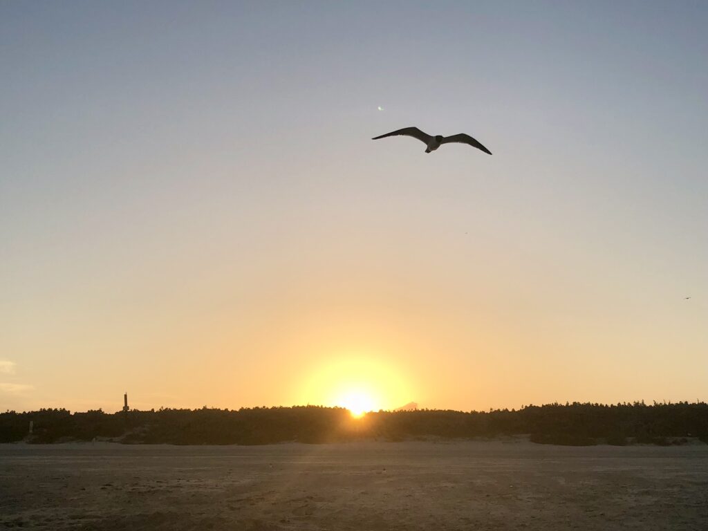 Beach sunset over sand dunes | Port Aransas Explorer