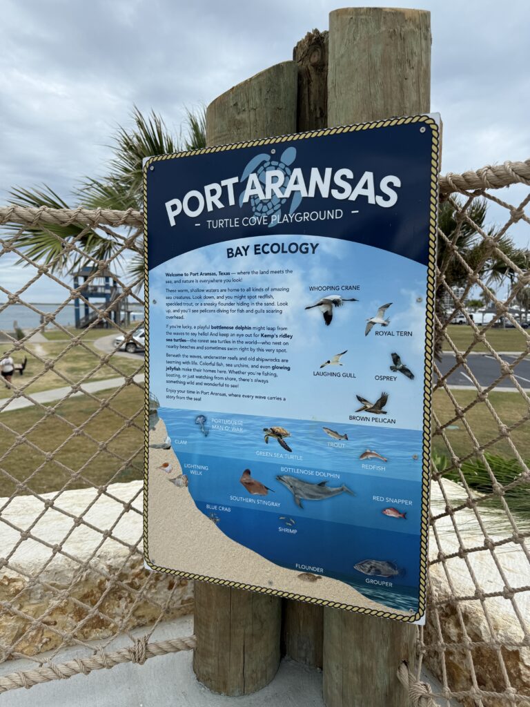Turtle Cove Playground for kids at Roberts Point Park | Port Aransas Explorer