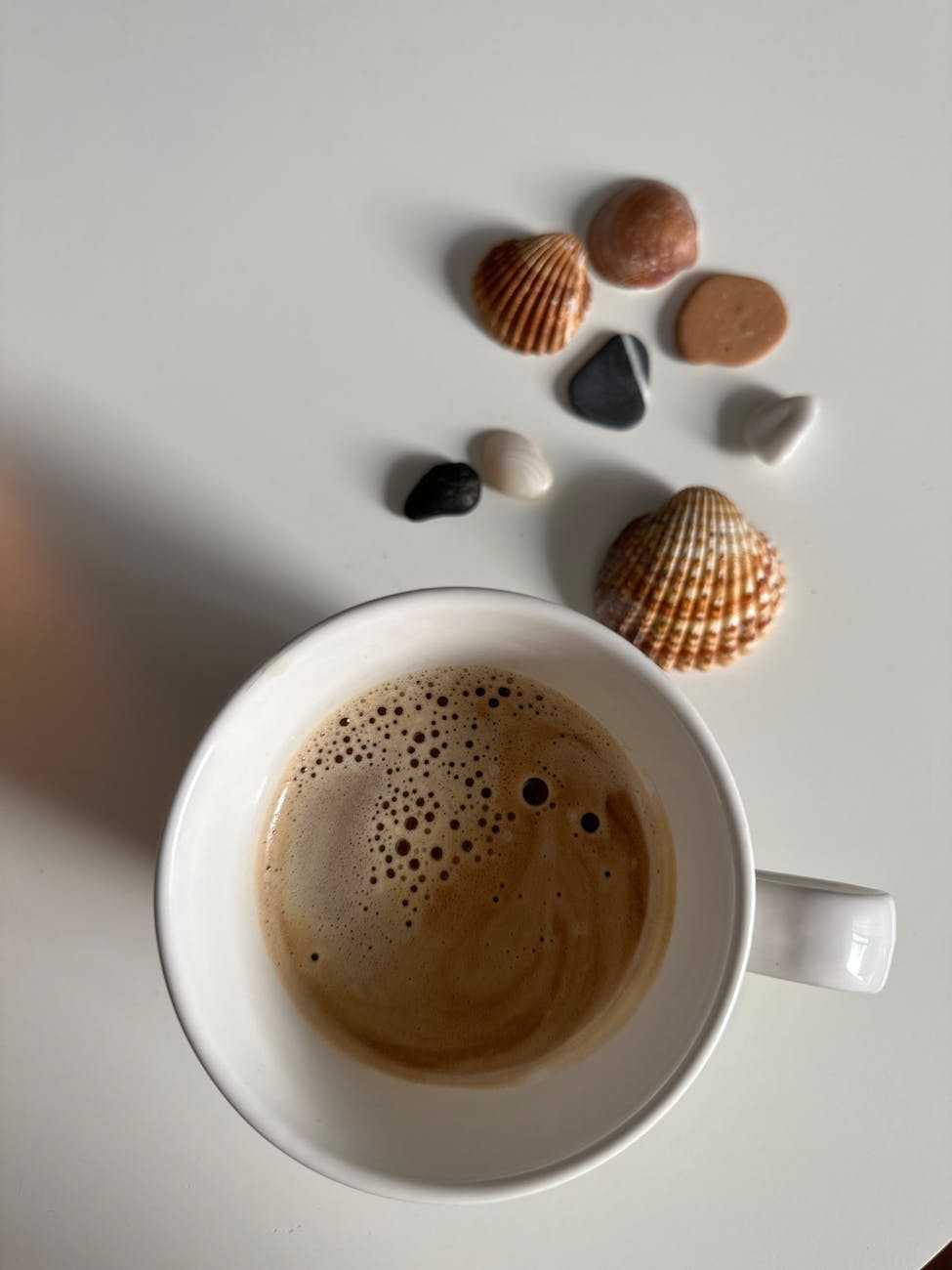top view of coffee rocks and shells
