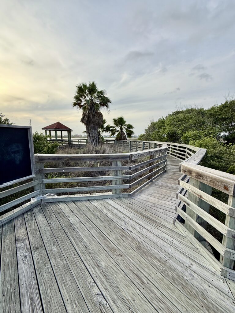 Boardwalk walkway at Wetlands Park in Port Aransas TX | Port Aransas Explorer @portaransastex