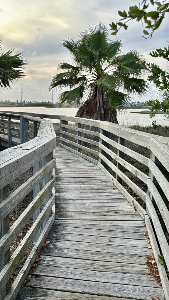 Sunset boardwalk view at Wetlands Park in Port Aransas TX | Port Aransas Explorer @portaransastex