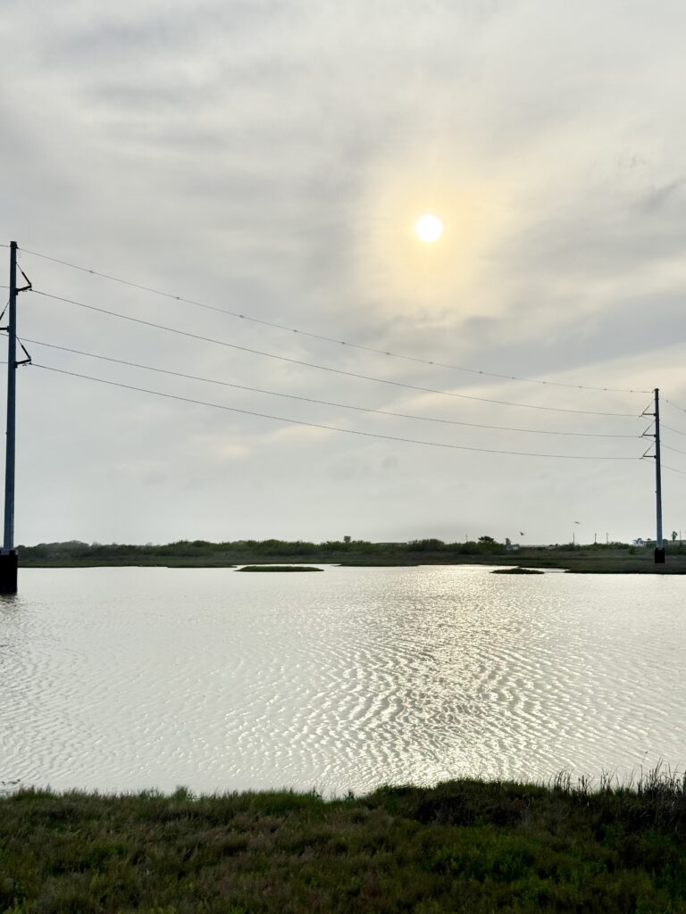 Sunset view at Wetlands Park in Port Aransas TX | Port Aransas Explorer @portaransastex