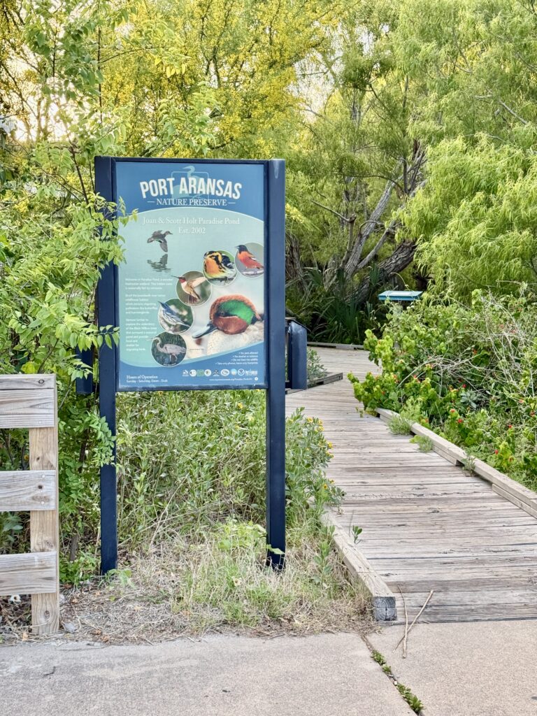 Paradise Pond at Nature Preserve | Port Aransas Explorer @portaransastex