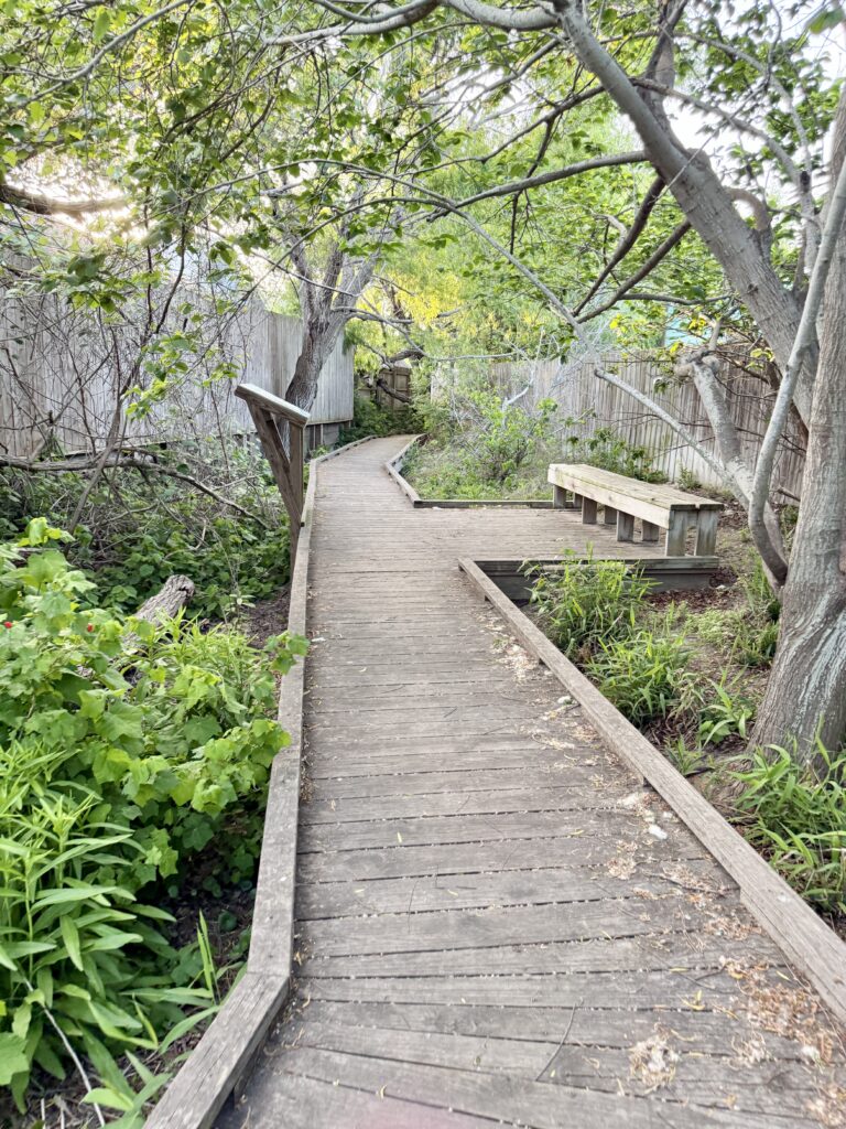 Paradise Pond at Nature Preserve | Port Aransas Explorer @portaransastex
