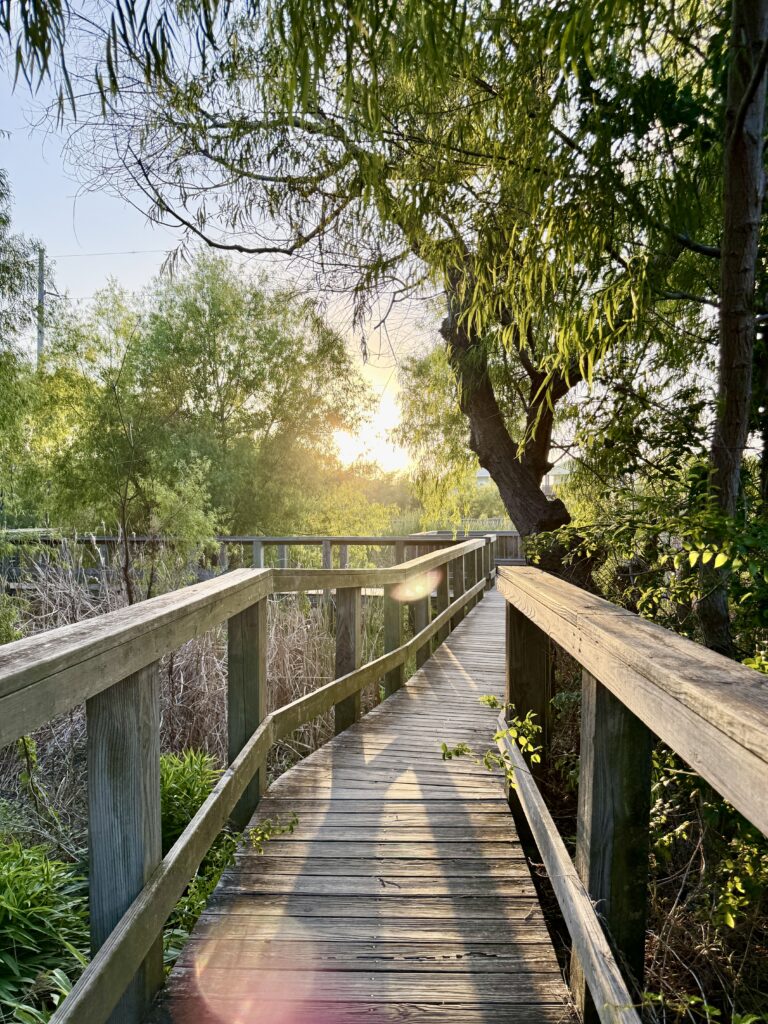 Paradise Pond at Nature Preserve | Port Aransas Explorer @portaransastex