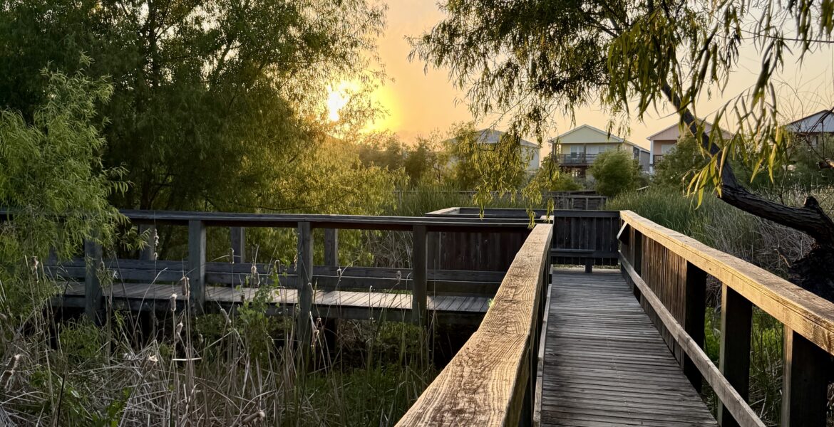 Paradise Pond at Nature Preserve | Port Aransas Explorer @portaransastex