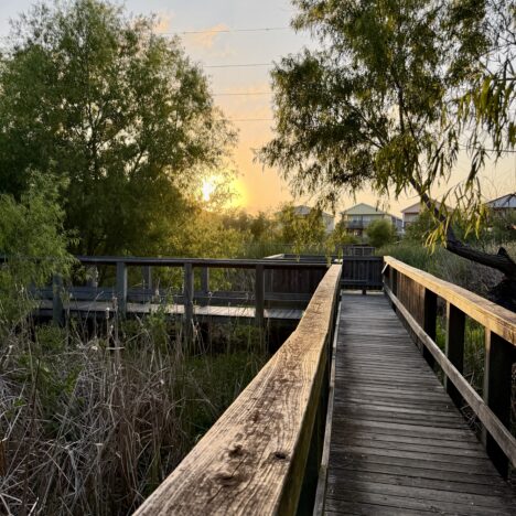 Paradise Pond at Nature Preserve | Port Aransas Explorer @portaransastex