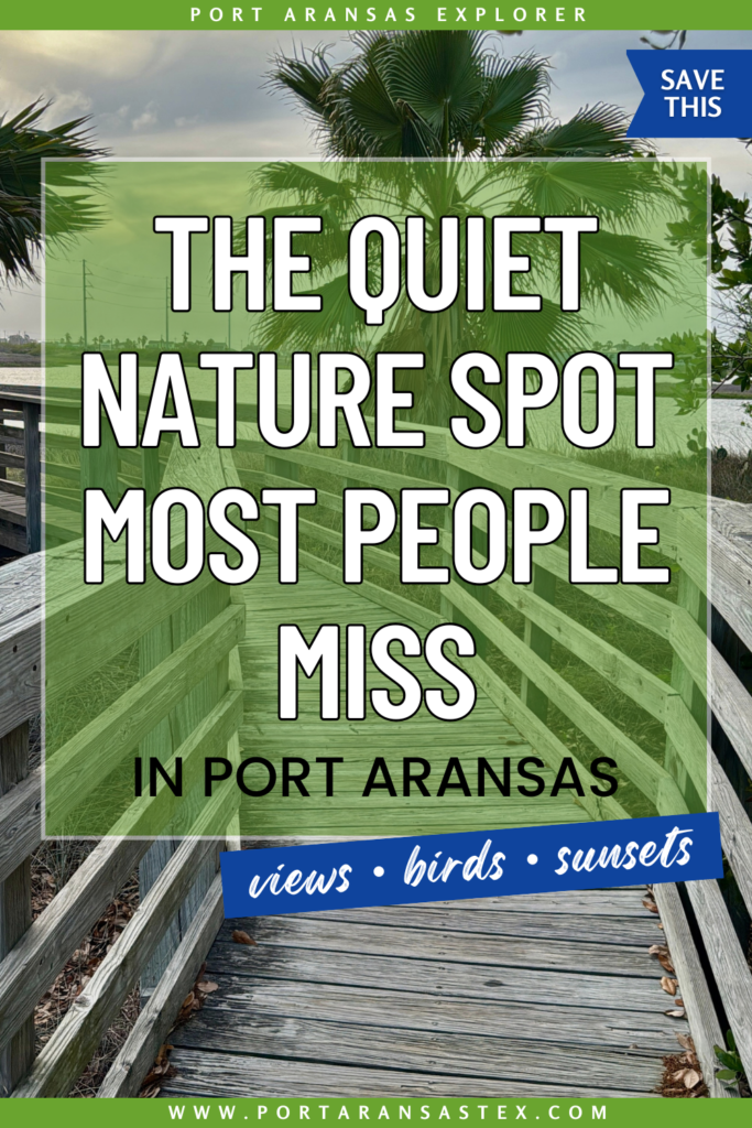 Wetlands Park nature spot in Port Aransas | Port Aransas Explorer @portaransastex