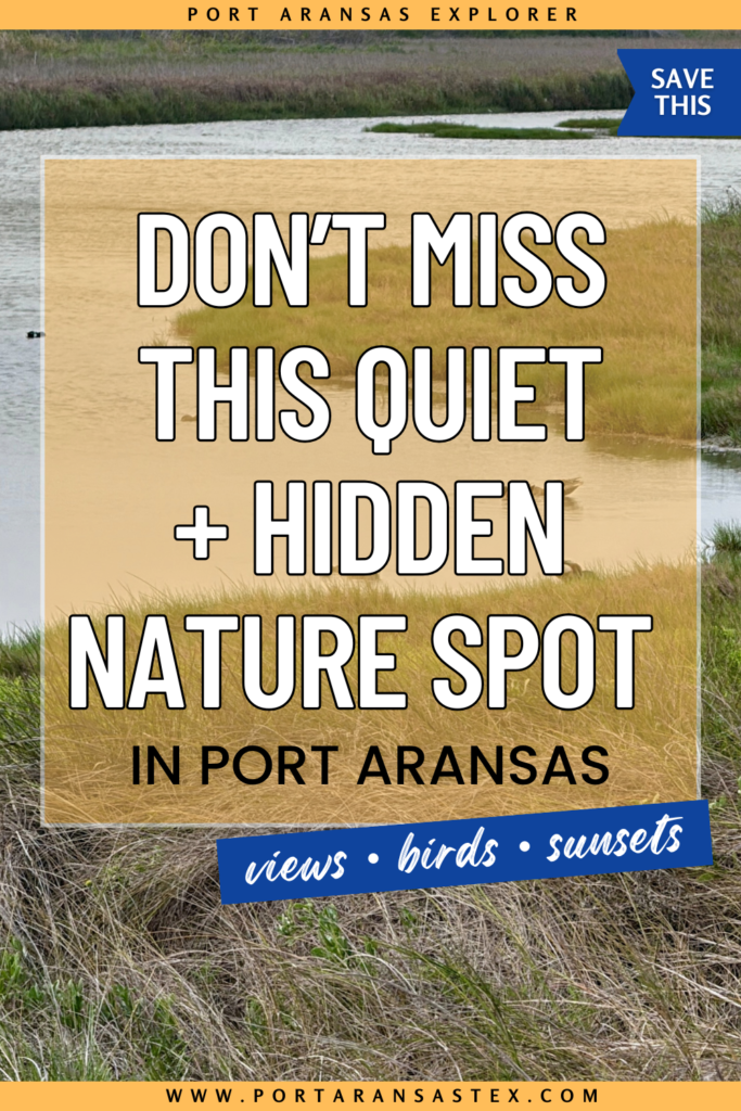 Wetlands Park nature spot in Port Aransas | Port Aransas Explorer @portaransastex